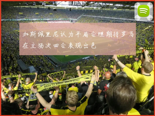 加斯佩里尼认为平局合理期待罗马在主场次回合表现出色